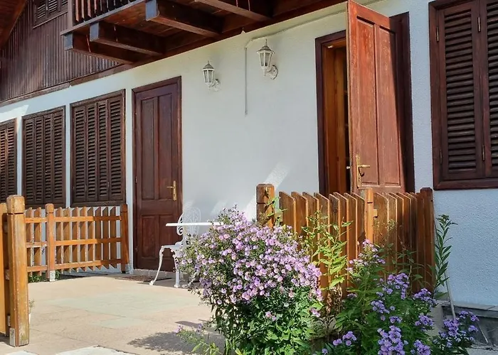 Vila Panselutelor 6