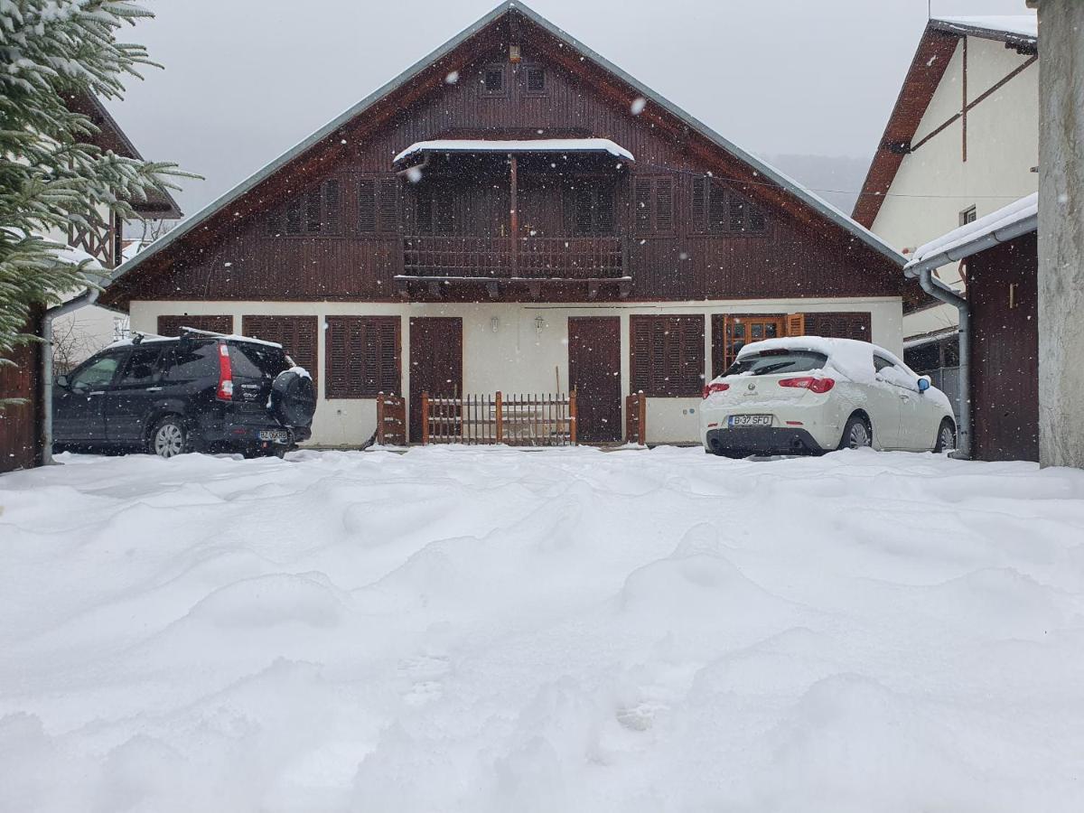 Panselutelor 6 Sinaia