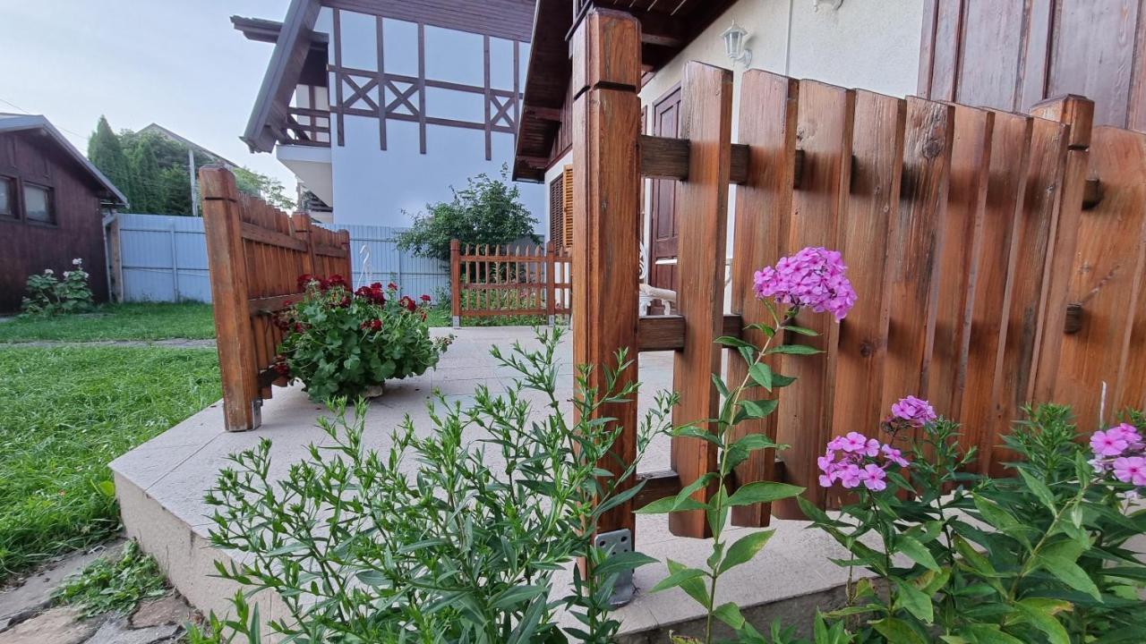 Villa Panselutelor 6